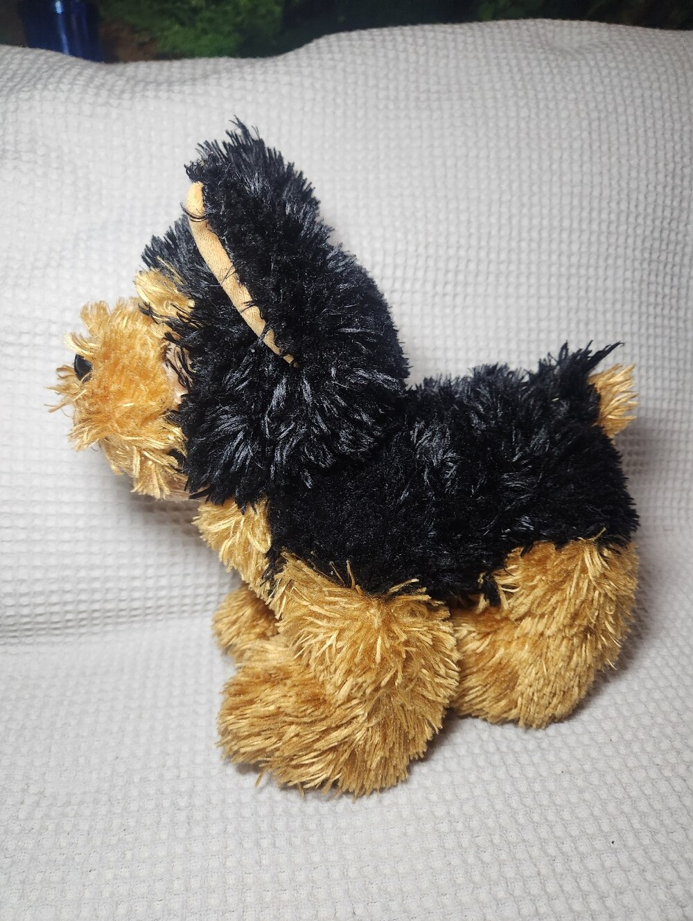 Build A Bear Promise Pets Yorkshire Terrier Yorkie Small Flaw